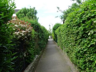 Künftig Maria-Molitor-Weg?