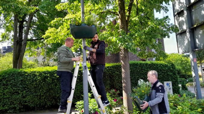 Blühendes Lintorf: Werbegemeinschaft hängt wieder Blumenampeln auf.