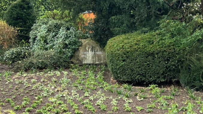 240402Grünfläche Stein Le Quesnoy