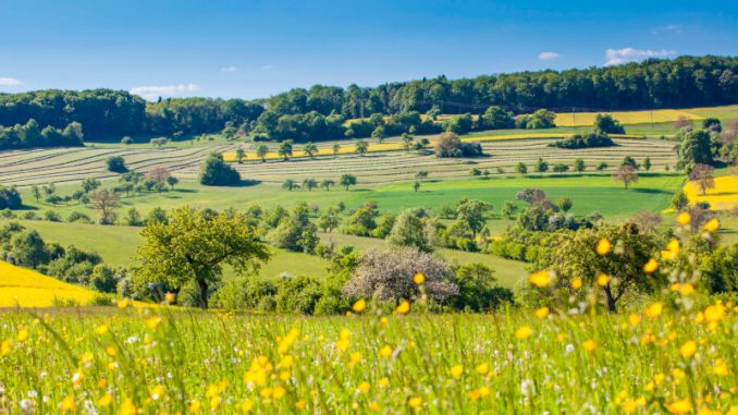 Die Biosphäre Bliesgau gehört mit ihren Wäldern, Wiesen und Auenlandschaften zu den den schönsten Landschaften im Südwesten Deutschlands. (Foto: epr/Tourismus Zentrale Saarland)