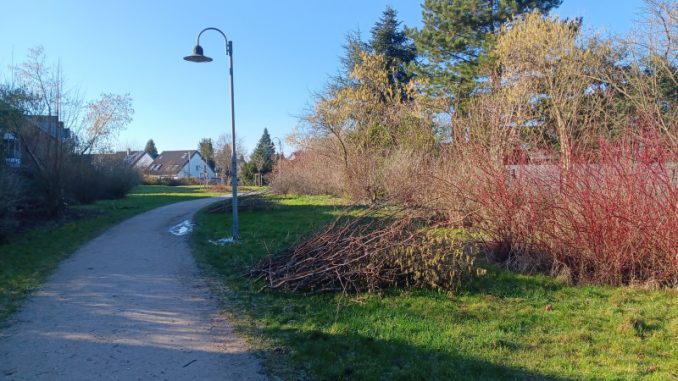 250201windisch