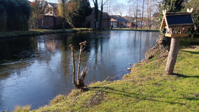 Teich mit Eis an der Mühle