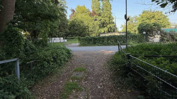 Wanderweg am Dickelsbach (Foto: privat)
