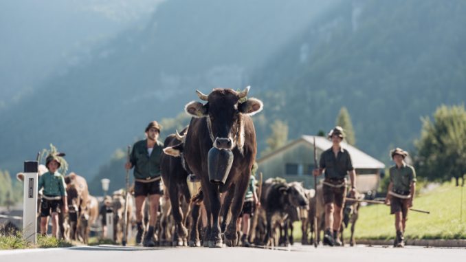 Foto: epr/Ian Ehm – Bregenzerwald Tourismus/Verein KäseStrasse Bregenzerwald