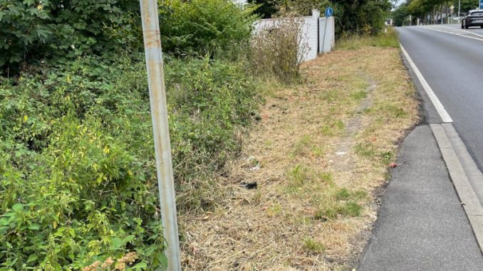 Foto: B90/DIE GRÜNEN Ratingen