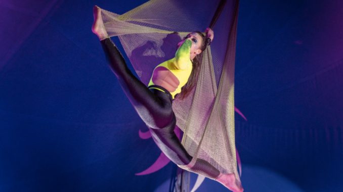 Foto: Circus Altano