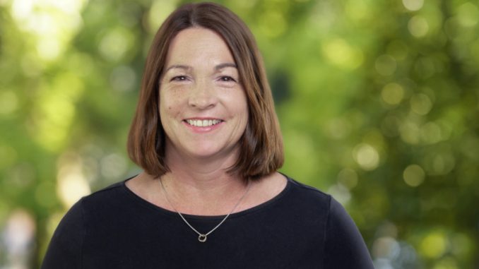 Grüne fordern detaillierte „Kühle-Orte-Karte“